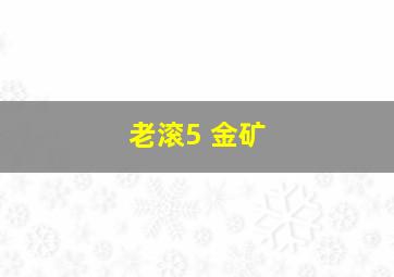 老滚5 金矿